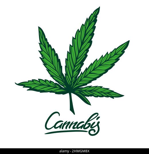 cannabisworldlifeconnect.com